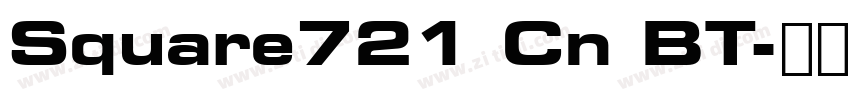 Square721 Cn BT字体转换